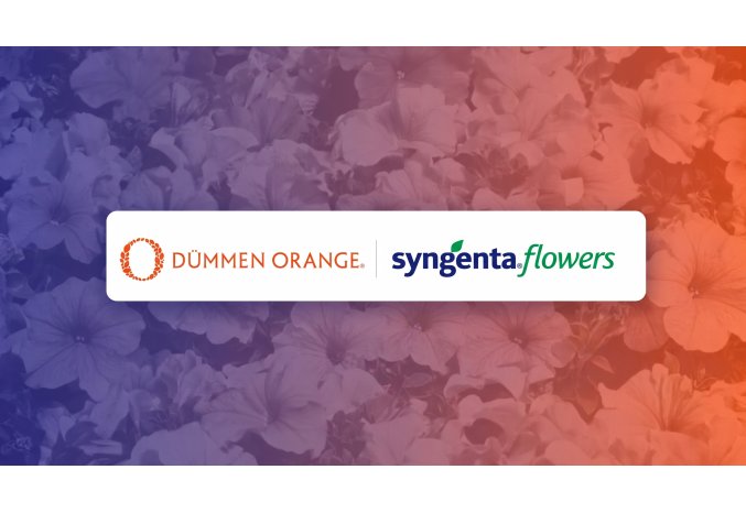 Syngenta divests its Flowers business into a joint venture with Dümmen Orange