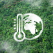 Study finds conservation farm policies reduced global cropland degradation