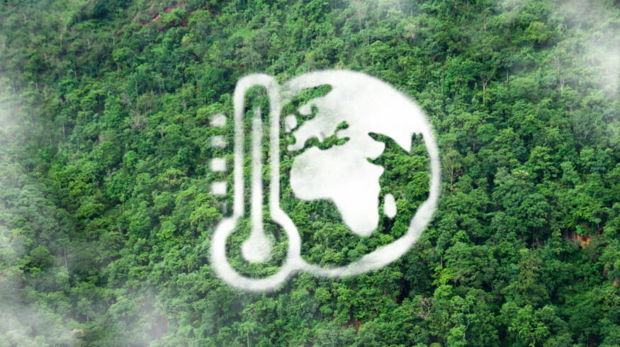 Study finds conservation farm policies reduced global cropland degradation