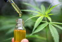 Canada launches consultation on easing industrial hemp regulations