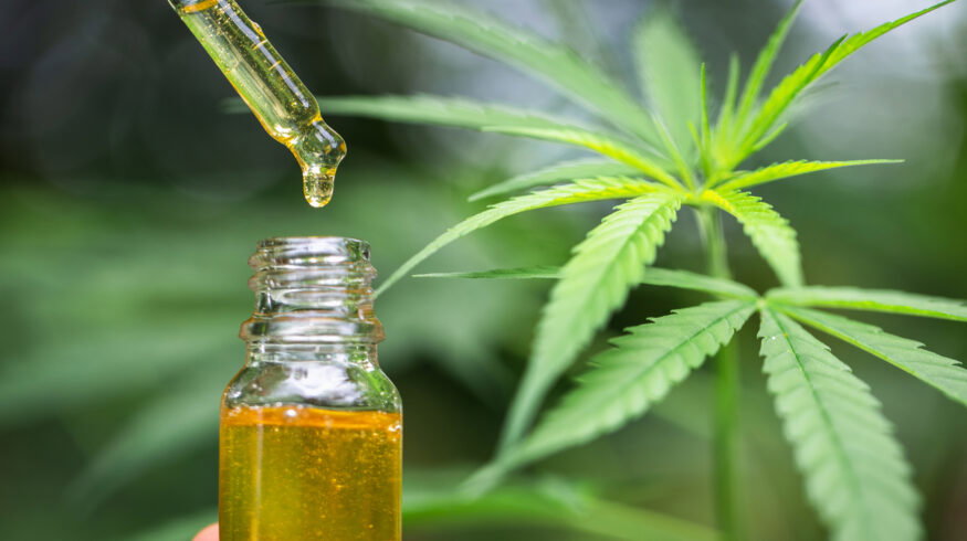 Canada launches consultation on easing industrial hemp regulations