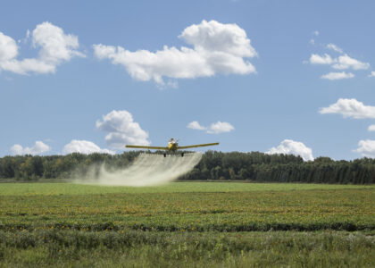 EPA approves continued use of atrazine herbicide despite widespread environmental concerns.
