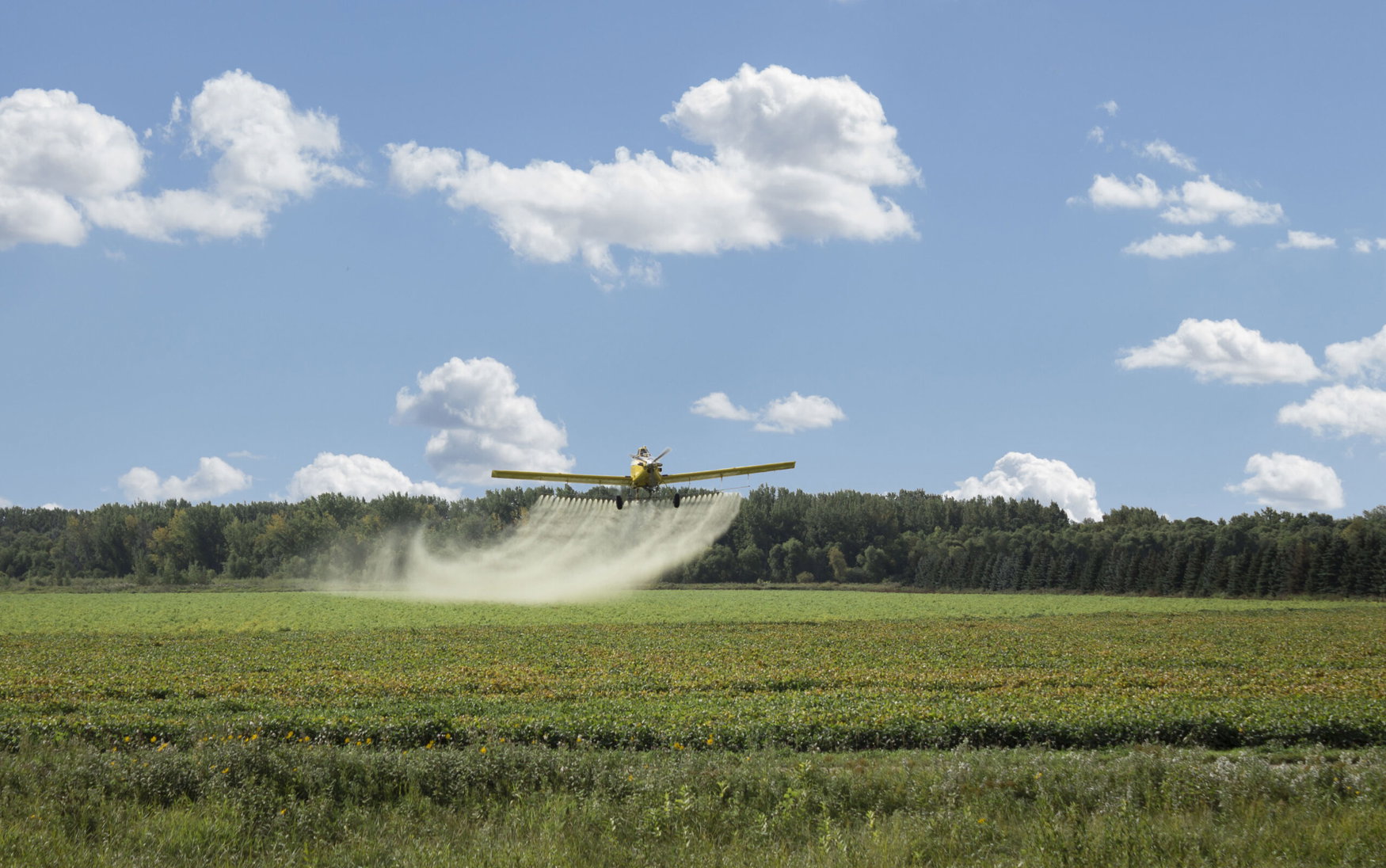 EPA approves continued use of atrazine herbicide despite widespread environmental concerns.