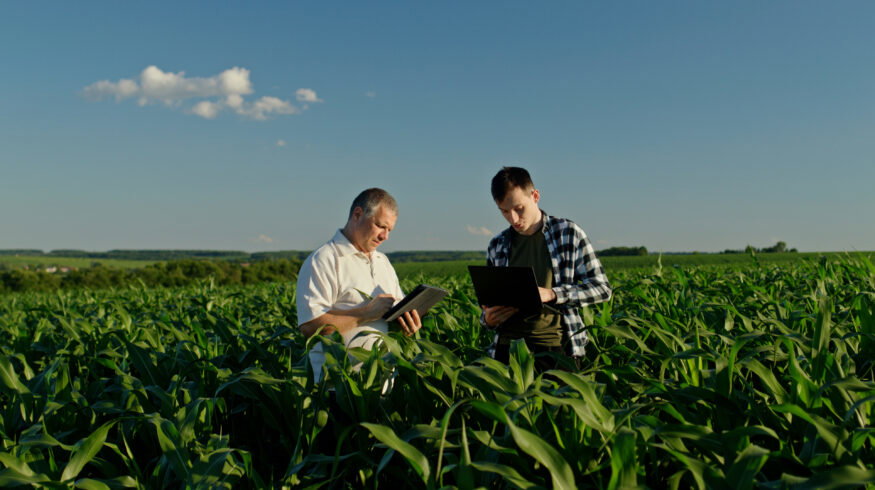 USDA opens enrollment for $1.63 billion specialty crop assistance program