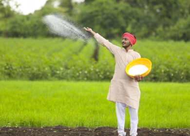 India issues 1.7mt urea tender ahead of monsoon sowing as domestic production shortfall deepens