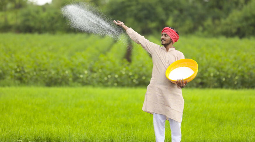 India issues 1.7mt urea tender ahead of monsoon sowing as domestic production shortfall deepens