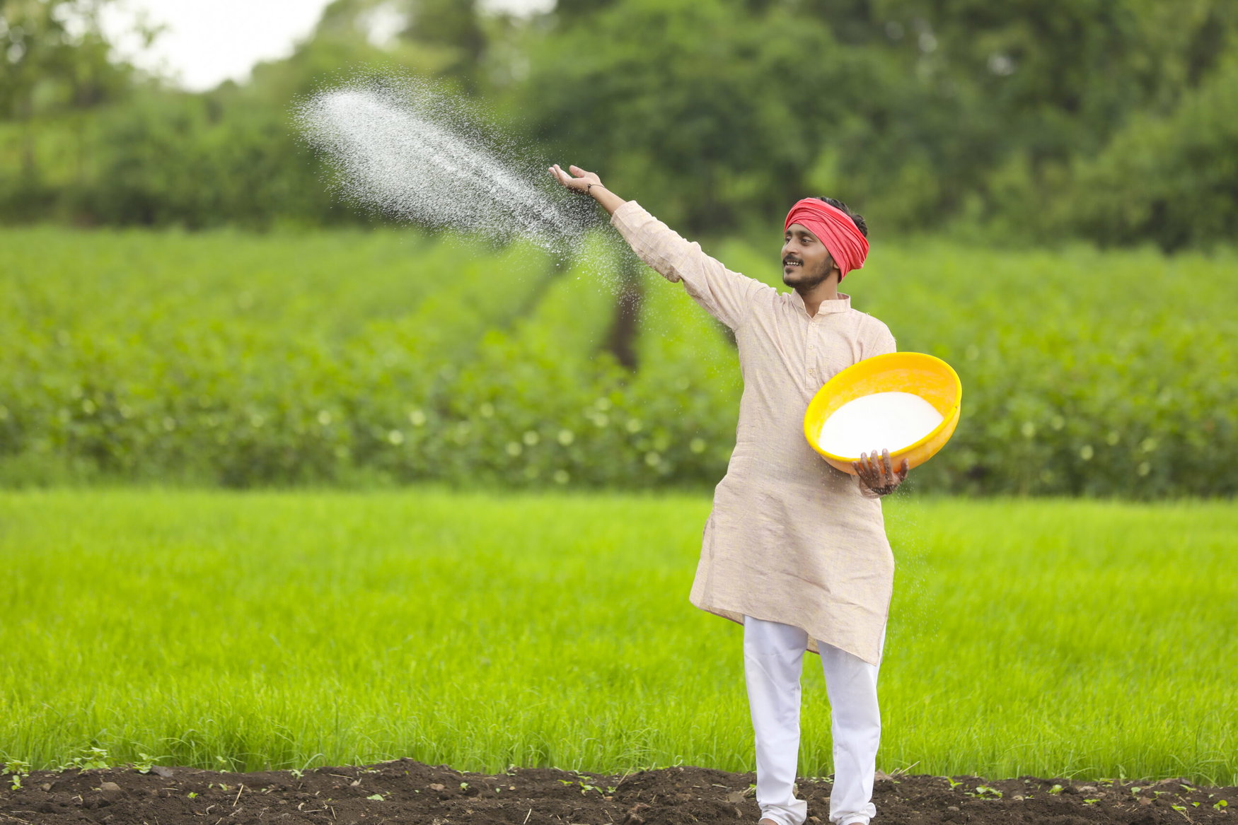 India issues 1.7mt urea tender ahead of monsoon sowing as domestic production shortfall deepens