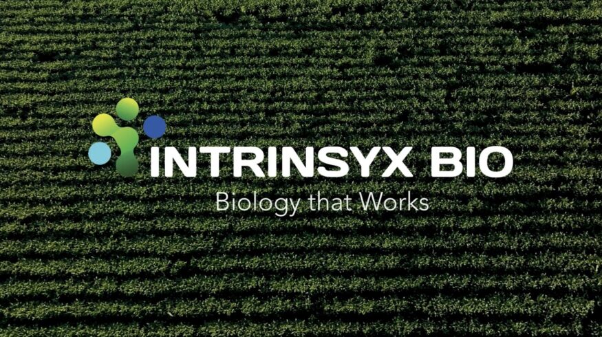 Syngenta acquires Intrinsyx Bio to strengthen position in nutrient use efficiency biologicals