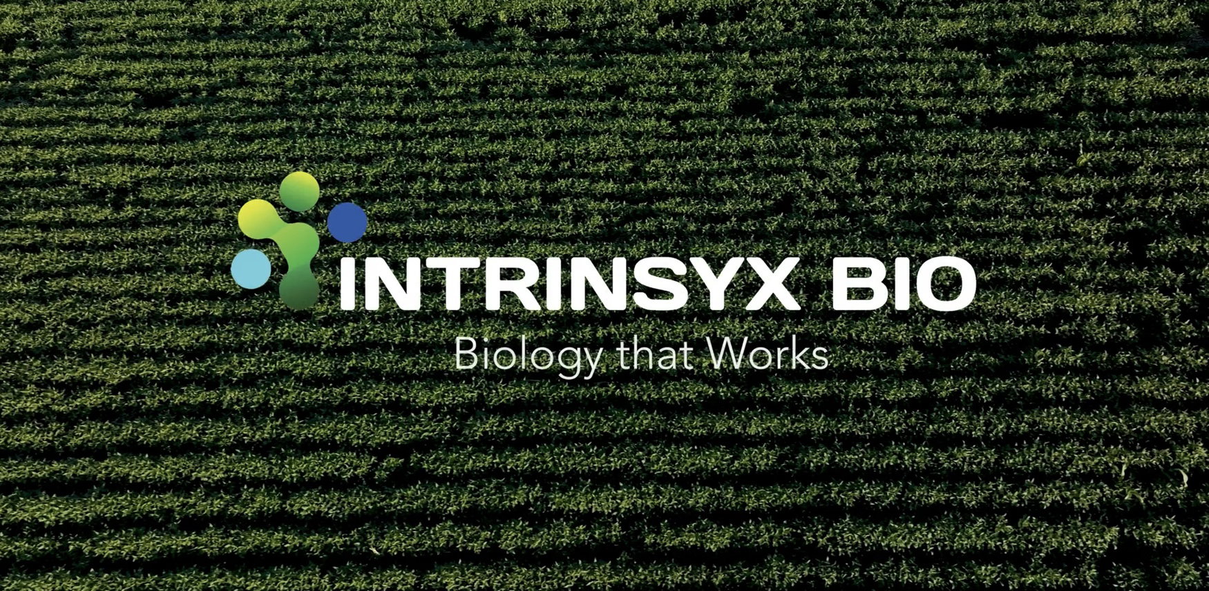 Syngenta acquires Intrinsyx Bio to strengthen position in nutrient use efficiency biologicals