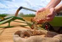 USDA sees global grain production falling as consumption continues to grow in 2026/27