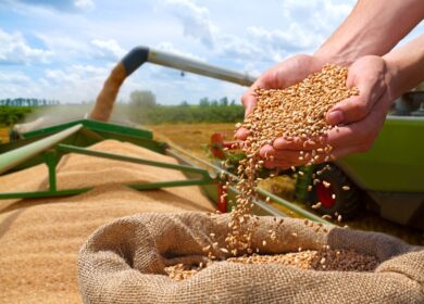 USDA sees global grain production falling as consumption continues to grow in 2026/27