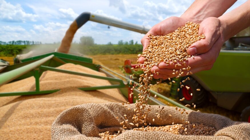 USDA sees global grain production falling as consumption continues to grow in 2026/27