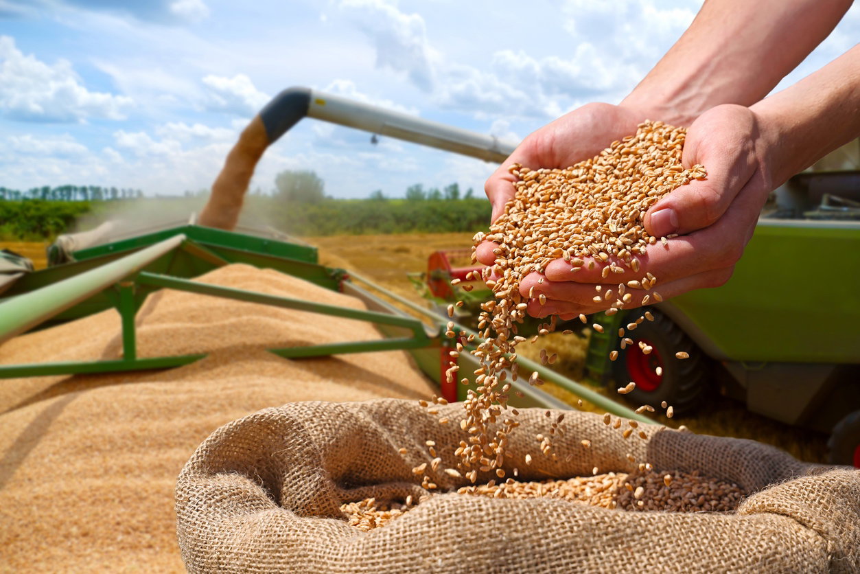 USDA sees global grain production falling as consumption continues to grow in 2026/27