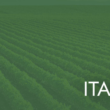 Itafos and Rio Tinto amend sulfuric acid supply contract through 2029 to steady U.S. phosphate production costs