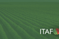 Itafos and Rio Tinto amend sulfuric acid supply contract through 2029 to steady U.S. phosphate production costs