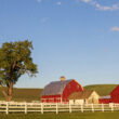U.S. farm debt nears record $625B as fertilizer costs and bankruptcies hit highest levels in years