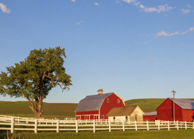 U.S. farm debt nears record $625B as fertilizer costs and bankruptcies hit highest levels in years