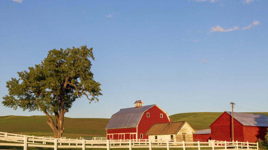 U.S. farm debt nears record $625B as fertilizer costs and bankruptcies hit highest levels in years