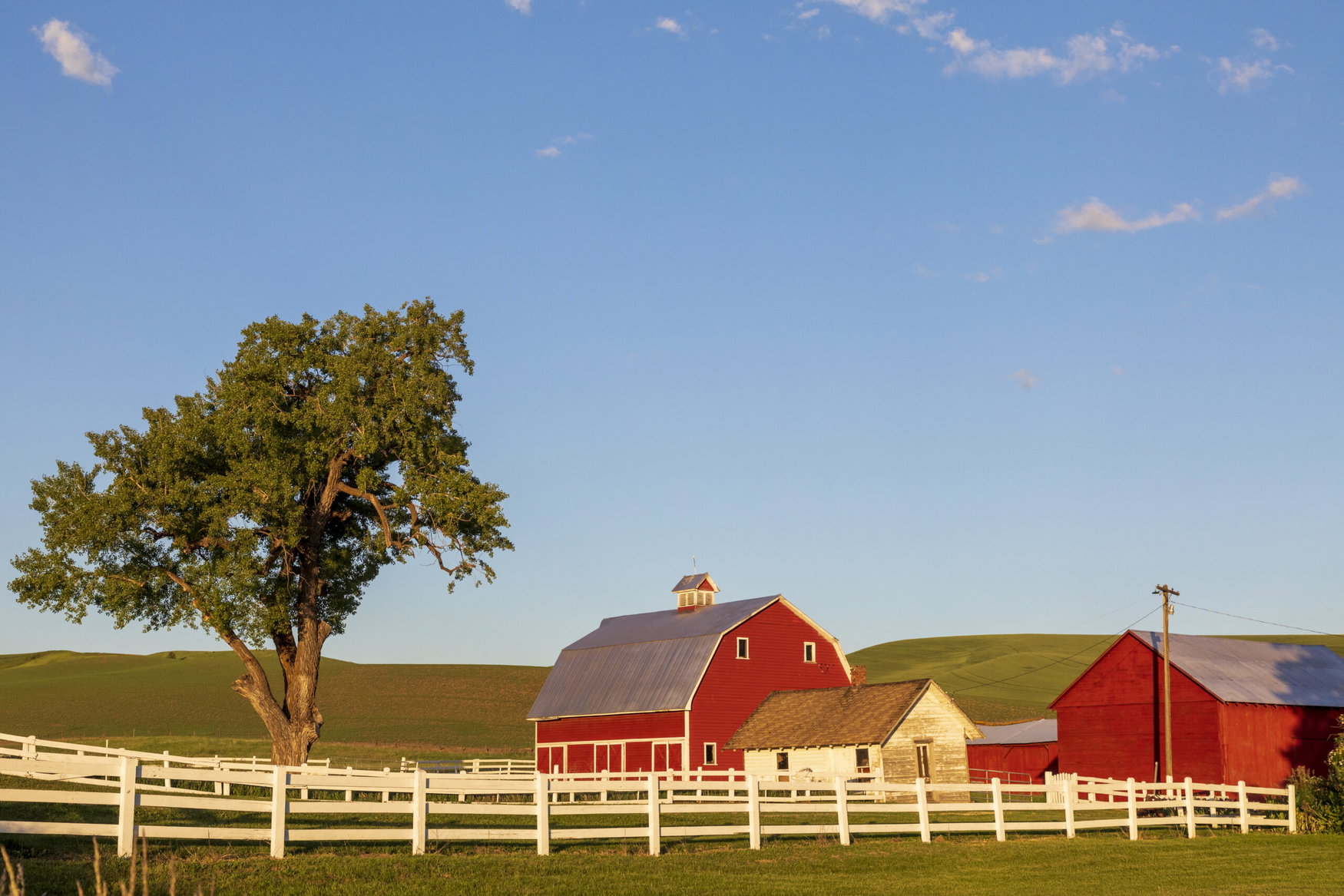 U.S. farm debt nears record $625B as fertilizer costs and bankruptcies hit highest levels in years