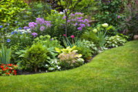 Small gardens, big impact: how pollinator-friendly yards support wildlife