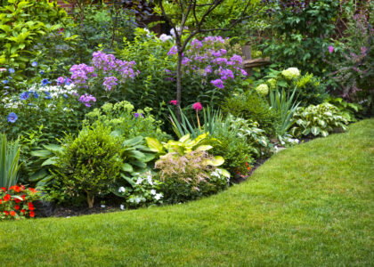 Small gardens, big impact: how pollinator-friendly yards support wildlife