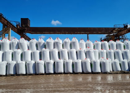 Egypt’s NCIC opens new September fertilizer tender with DAP, phosphoric acid and CAN on offer