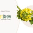 MustGrow revenue climbs to $8.3 million in 2025 as the company pivots to U.S. market