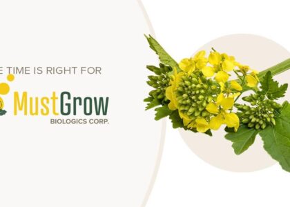 MustGrow revenue climbs to $8.3 million in 2025 as the company pivots to U.S. market