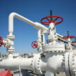 Mexico’s Pacific coast ammonia project nears completion amid local opposition
