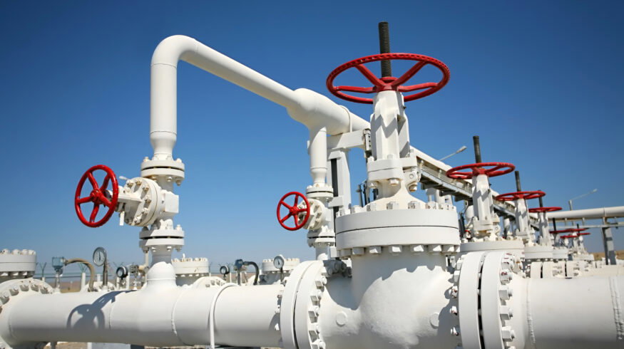 Mexico’s Pacific coast ammonia project nears completion amid local opposition