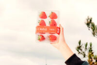 Oishii closes $150M Series C to scale gene-edited strawberry vertical farming across North America
