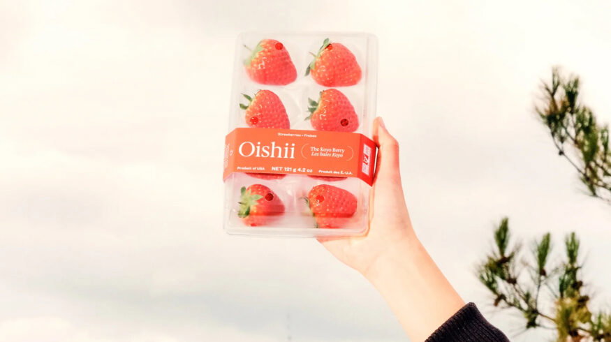 Oishii closes $150M Series C to scale gene-edited strawberry vertical farming across North America