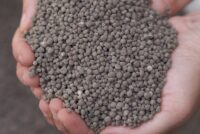 Ostara appoints former Nutrien agronomist Mike Howell to lead nutrient efficiency strategy