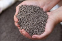 Ostara targets phosphate fertilizer market with efficiency-focused alternative