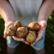 PepsiCo expands low-carbon fertilizer partnership with Fertiberia across Europe
