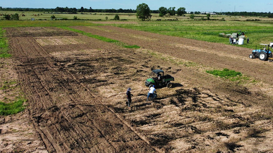 Prairie View A&M launches $1 million biochar processing unit to convert crop residue into soil amendment