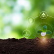 Regenerative agriculture deserves system-wide deployment, scientists argue