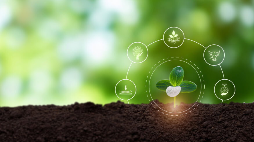 Regenerative agriculture deserves system-wide deployment, scientists argue