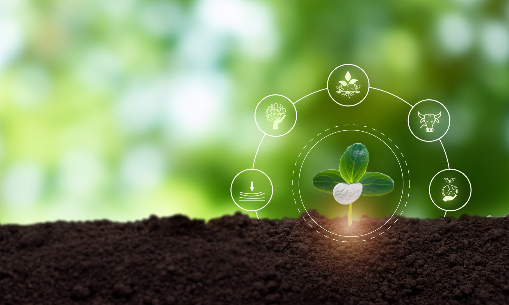 Regenerative agriculture deserves system-wide deployment, scientists argue