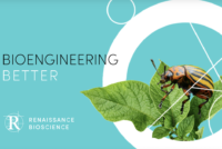 Renaissance Bioscience unveils virus-like particle platform to expand RNAi biopesticide scope beyond chewing insects