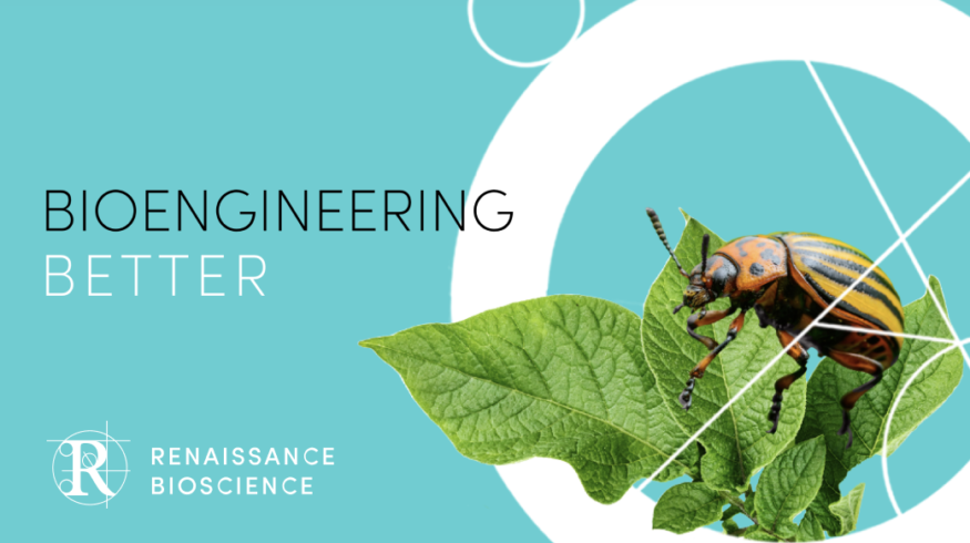 Renaissance Bioscience unveils virus-like particle platform to expand RNAi biopesticide scope beyond chewing insects