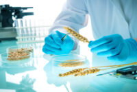 Crop protection R&D costs climb to $307M as regulatory burden lengthens development timelines