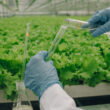 Fertilizer industry shifts toward integrated agronomic systems, away from standalone products