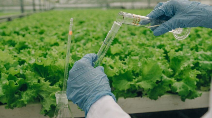 Fertilizer industry shifts toward integrated agronomic systems, away from standalone products