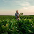 ICL opens new specialty fertilizer production facility in India, advancing Growing Solutions global expansion