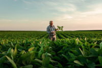 ICL opens new specialty fertilizer production facility in India, advancing Growing Solutions global expansion