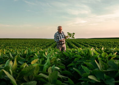 ICL opens new specialty fertilizer production facility in India, advancing Growing Solutions global expansion