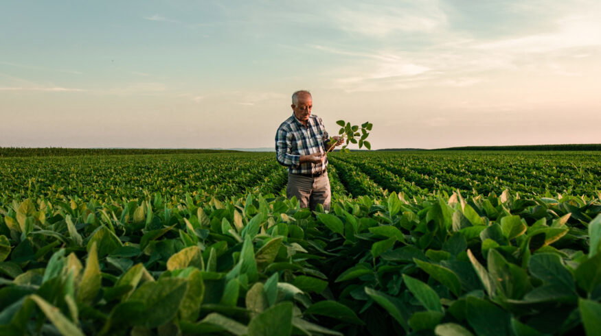 ICL opens new specialty fertilizer production facility in India, advancing Growing Solutions global expansion