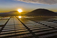 Jordan approves $1bn green ammonia investment agreement
