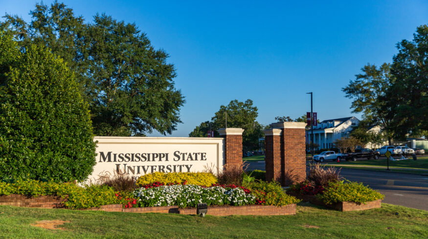 Mississippi State University’s forestry team wins $590K USDA grant to model timber-market risk in U.S. South